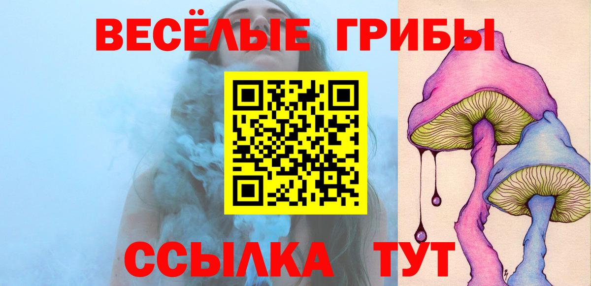 Пугачёв  Галлюциногенные грибы Cubensis  Вход с VPN 